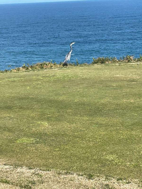 4 Bedroom Property for Sale in Pinnacle Point Golf Estate Western Cape